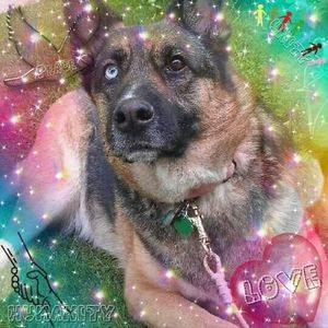 Meet your Posher, Tanya